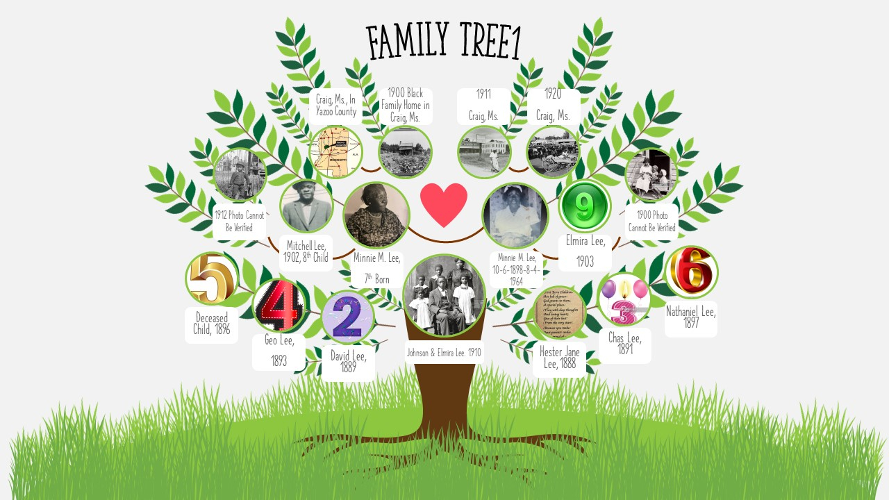 Family Tree #3